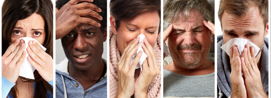 Conquer the Sniffles: A Guide to Avoiding Colds and Staying Healthy!