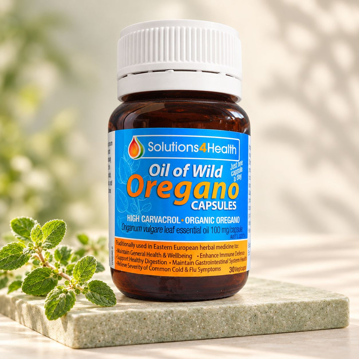 Solutions4Health Oil of Wild Oregano 30 Capsules bottle on a pale sage stone base with fresh oregano.